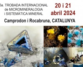 Trobada Internacional de Micromineralogia i Sistemàtica de Camprodon-Rocabruna